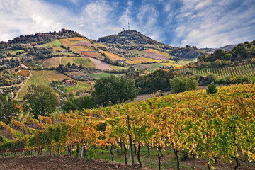 Fototapeta na wymiar Bertinoro, FC, Emilia Romagna, Italy: landscape of the countryside with vineyards
