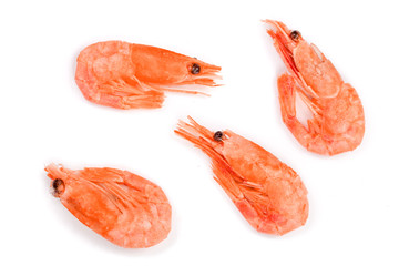 Red cooked prawn or shrimp isolated on white background. Top view. Flat lay