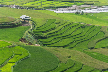 Beautiful landscape rice fields on terraced of Mu Cang Chai