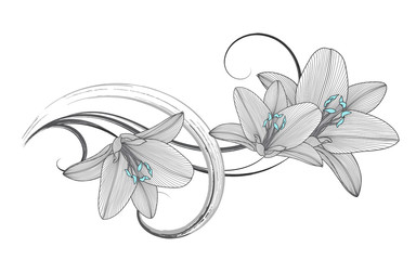 Hand-drawing floral background with flower lily. 
