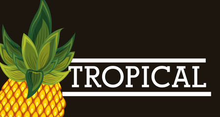 tropical fruit fresh pineapple black background vector illustration