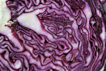 Obraz premium Close up of red cabbage on slate table