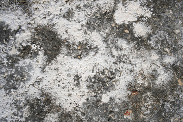 Grange wall with mold