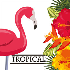 tropical bird pink flamingo flowers frond natural vector illustration