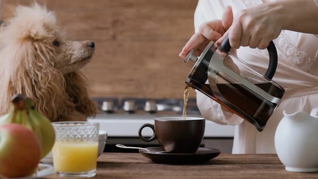 Cinemagraph - Female hand pouring hot tea from the teapot in the cup. The dog looks at the woman.  Motion Photo.