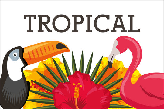 tropical flamingo and toucan hibiscus frond vector illustration