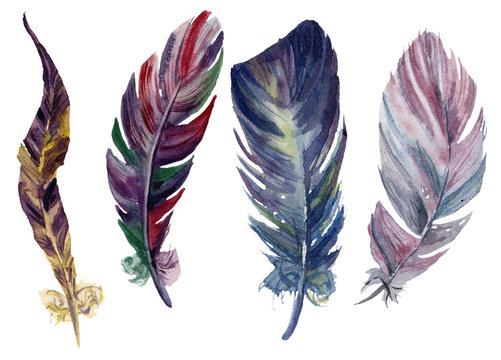 Watercolor bright feathers set. Hand drawn decorative boho elements isolated on white background. Rainbow design objects for design or print. Vintage illustration