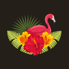 tropical pink flamingo hibiscus palm leaves black background vector illustration