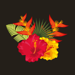 tropical hibiscus bird of paradise palm leaves black background vector illustration