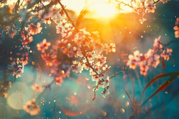 Fotobehang Kersenbloesem Lente bloesem achtergrond. Aardscène met bloeiende boom en zonnevlam. Lente bloemen. Prachtige boomgaard