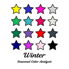 Obraz premium Stock vector color guide. Seasonal color analysis palette for winter type. Type of female appearance