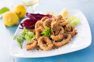 Piatto di calamari fritti, cucina mediterranea