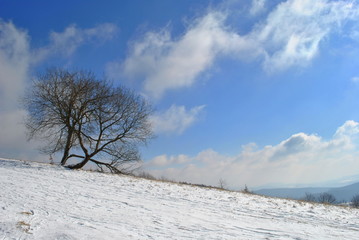 Fototapeta na wymiar Pejzaż zimowy z samotnym drzewem na horyzoncie