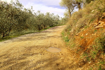 Carretera rural con posa de agua sucia