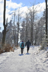 Turyści w zimowym lesie