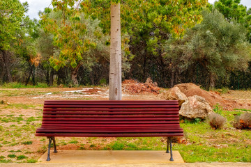 the bench in the park