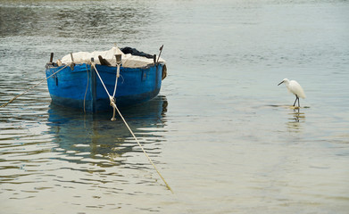 Porto Cesareo, old boat with white heron - Italy