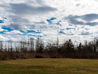 Field and Sky