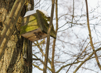 Winter landscape near the city