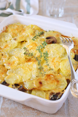 Vegetable potato and mushroom gratin with cheese
