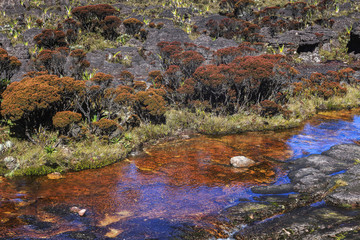 Colored rivers and pools on Mount Roraimpa, Venezuela