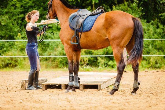 Jockey young woman getting horse ready for ride