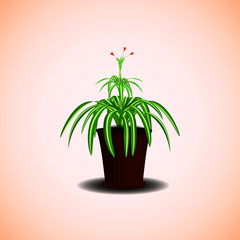 Fototapeta na wymiar Vector flowerpot plant