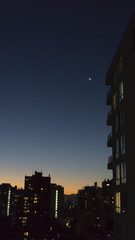 Fototapeta premium Moon in blue night