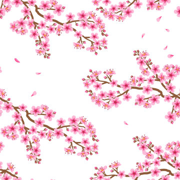 Seamless pattern from the branches of a pink blossoming cherry