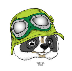 A raccoon in helmet. Vector illustration