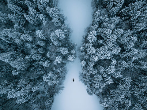 Aerial photograph of a Person lying on a frozen lake surrounded by a symmetric snowy pine forest at Eibsee, Germany