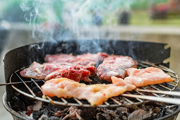 Grilled meat, pork, beef and chicken meat on barbecue, grill. Shallow depth of field.