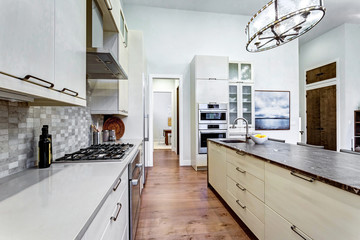 Contemporary white kitchen with high-end kitchen appliances