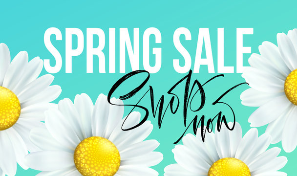 Spring sale banner, background with daisy flowers. Seasonal discount. Vector illustration