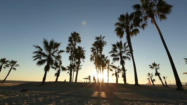 The sun sets behind palm trees near a bike path at the beach