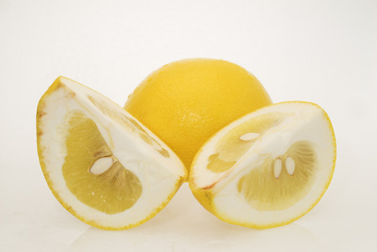 土佐文旦 Images – Browse 48 Stock Photos, Vectors, and Video | Adobe Stock