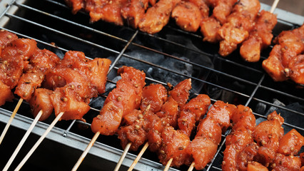 Chicken Satay / Chicken satay  is grilled chicken skewers marinated with spices and served with peanut sauce.