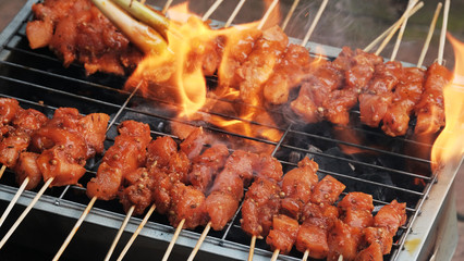 Chicken Satay / Chicken satay  is grilled chicken skewers marinated with spices and served with peanut sauce.