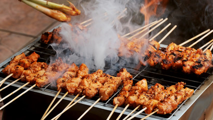 Chicken Satay / Chicken satay  is grilled chicken skewers marinated with spices and served with peanut sauce.