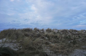 Dunes of the baltic sea shore in northern Germany