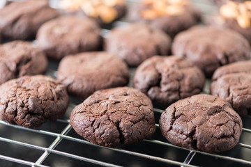 Cookies choc chocolate fresh from the oven on a wire rack steel.