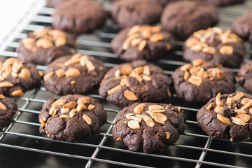 Cookies choc chocolate fresh from the oven on a wire rack steel.