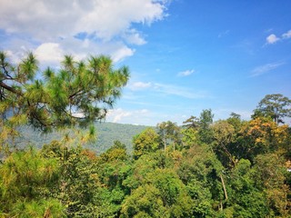 Fototapeta na wymiar Countryside landscape at Chiangmai province Northern Thailand.