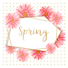 Gerbera flower on bright pink background.