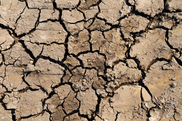 dry soil cracked at the rice field in the El Nino climate effect.