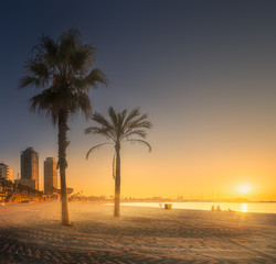 Fototapeta premium Dramatic sunrset on beach of Barcelona with palm