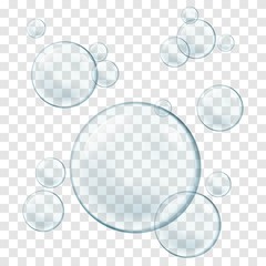 Vector isolated Soap Water bubbles and foam. Transparent Realistic Design Elements on white background.
