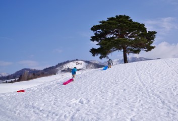 Fototapeta na wymiar スキー場でソリ遊びをする子供