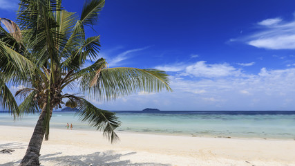 Tropical beach with palm trees in Phi Phi Don Island in Krabi, Thailand