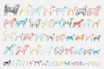Papier Peint photo Rétro Style de dessin d& 39 illustration de chien